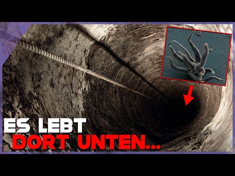 DIESE UNBEKANNTE LEBENSFORM wurde tief in einem Bergwerk entdeckt! Forscher sind sprachlos...