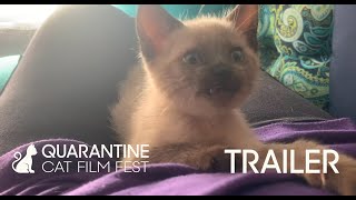 QUARANTINE CAT FILM FESTIVAL Official Trailer #1 (2020)