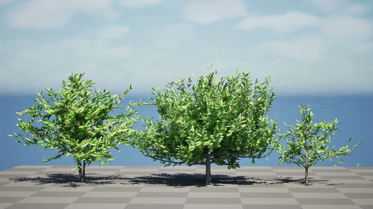 Annona squamosa - Realistic 3D Model