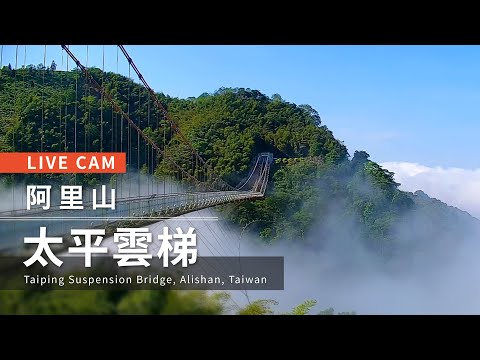 Taiping Suspension Bridge in Alishan, Taiwan｜ -Alishan - 全景
