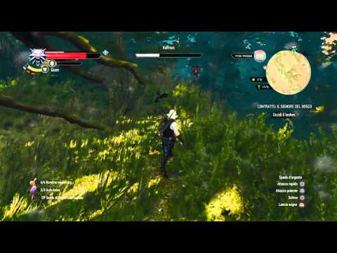 The Witcher 3: Wild Hunt - Kernun the Leshen fight (Death March)