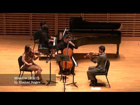 Meadow - Piano Quartet by Shahar Regev