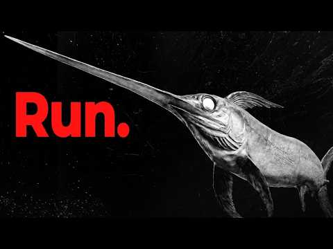Why Giant Squids are Terrified of Swordfish