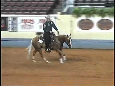 Shawn Flarida- Shine Chic Shine