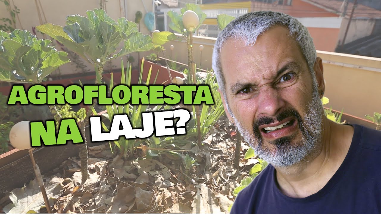 Como ter uma HORTA URBANA no sistema AGROFLORESTAL