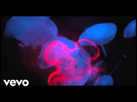 Lomostatic - Danse Charnelle