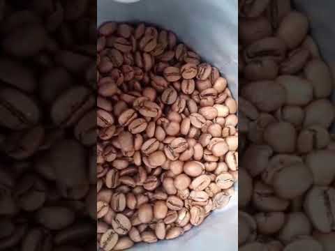 Бразилия Сантос