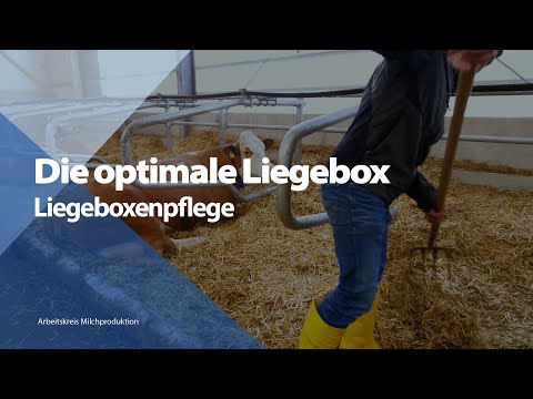 , title : 'Die optimale Liegebox - Liegeboxenpflege'