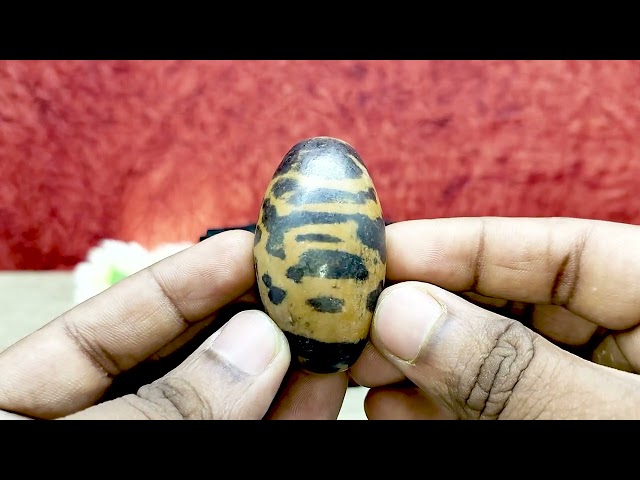Ashutosh Shashank Shekhar Shasta  Tripund Tilak Natural Shivalingum With Yonibase video