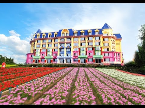 【康泰Vlog】番禺花之戀城堡酒店 - 花海裏的童話城堡