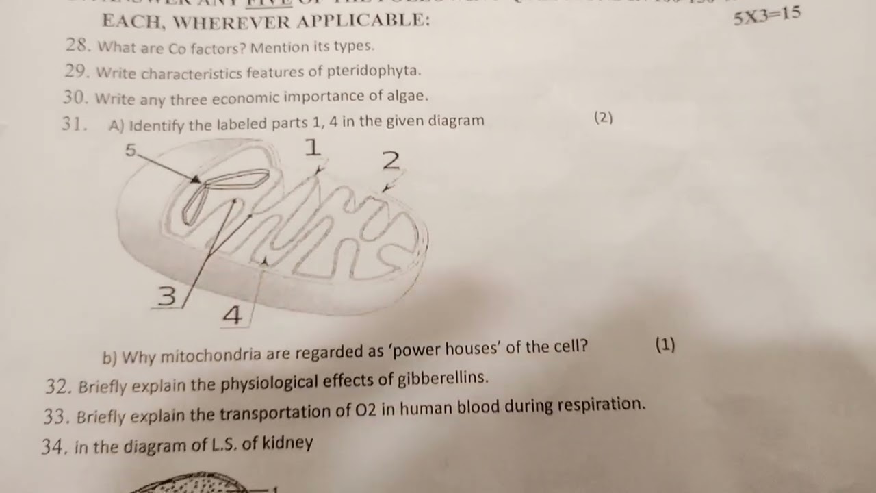 BIOLOGY 1st PUC annual exam question paper 2024-25