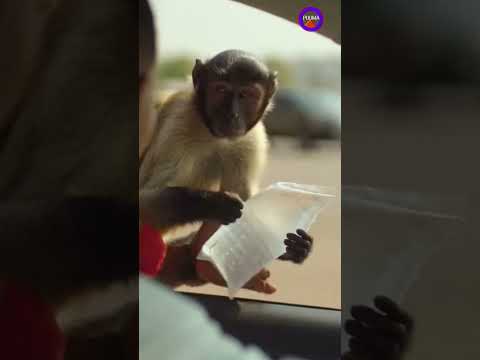 “WAIT… IS THAT A BABY?!” 24  |Mr Macaroni | izon tv  | ijaw tv | puma | POUMA | yawa skits