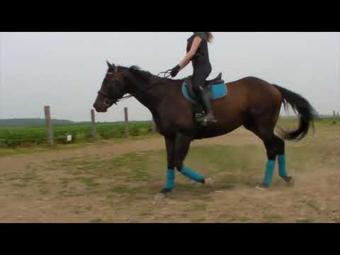 Charity Class DO Intro 2 Abigail Sidebottom &  Unbreakable Spirit