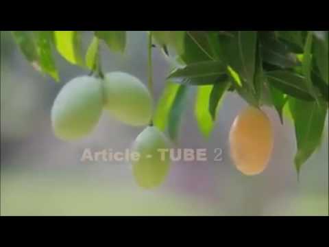 10 slimming lihim i Programa upang alisin ang tiyan taba