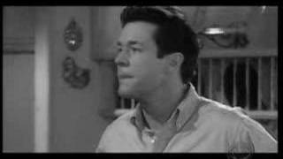 GUIDING LIGHT --  Velvet Divorce, a Bauer/Spaulding mvid