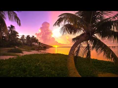 Wilf Enighma- La vie est belle