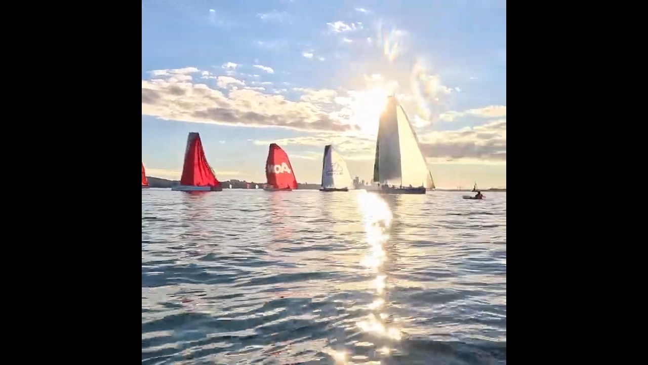 Kayaking with sailboats #sailing #sailboat #kayaking #newzealand