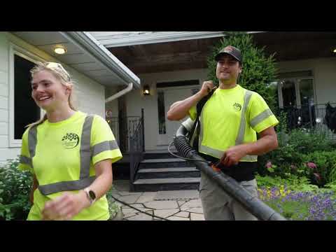 Lianne | Employee Testimonial