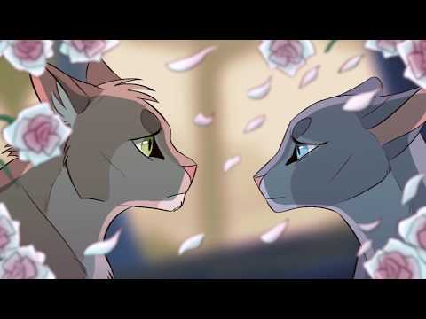 15 traurige Beziehungen/ Pärchen ohne gemeinsame Zukunft || Warrior Cats Videos