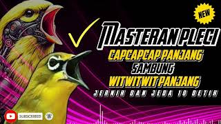 Download lagu VIRAL‼️ MASTERAN PLECI CAP CAP PANJANG SAMBUNG WIT WIT PANJANG | JERNIH #pleci #plecigacor mp3 Download lagu VIRAL‼️ MASTERAN PLECI CAP CAP PANJANG SAMBUNG WIT WIT PANJANG | JERNIH #pleci #plecigacor mp3