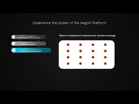 Introducing the Magnit Platform