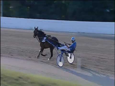 Trotto 13/09/2019 - 7ª corsa