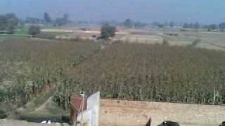 preview picture of video 'view from the roof of bhatti farm house'