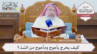 [1309] كيف يخرج يأجوج ومأجوج من السَّدّ؟ - عثمان الخميس