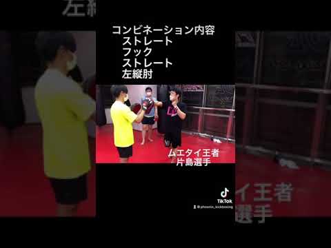 左縦肘の打ち方と、具体的なコンビネーション例（ストレート・フックストレート・左縦肘）