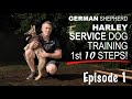 First Ten Steps When Training A Service Dog