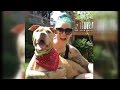 Rescue Pit Bull Dying Of Cancer Lives Life To The Fullest With New Owners