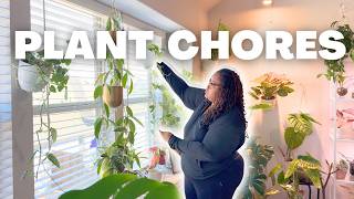 just doing some plant chores 🌿