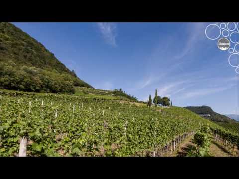 Weinland Südtirol - Etschtal