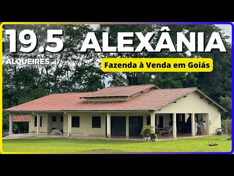 19.5 ALQ EM ALEXÂNIA - FAZENDA À VENDA EM GOIÁS [🌱DUPLA APTIDÃO🐄] 62.99972-2000 (FORA DE VENDA)