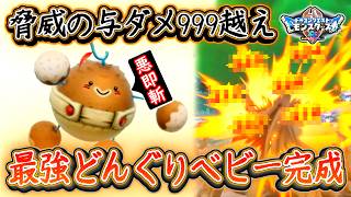 DQM4 最強どんぐりベビー完成！999ダメージ越えの脅威！作り方を徹底解説！SサイズもLサイズも壊滅させます！ドラクエモンスターズ4 ビアフロ 攻略【メイルス】