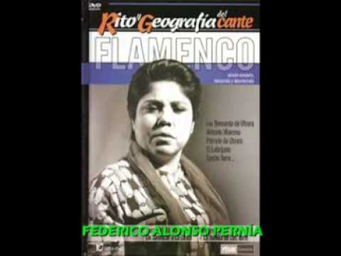 BERNARDA DE UTRERA POR TIENTOS TANGOS