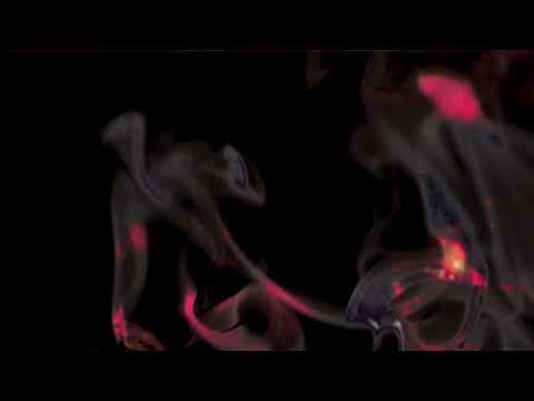 Killer Rockabilly Country Ballad - Harry Charles - By The Gun