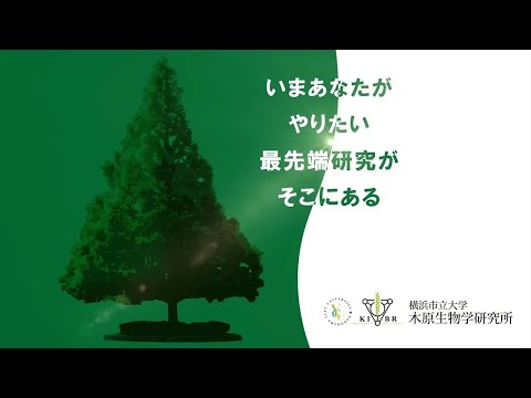 木原生物学研究所概要20240412