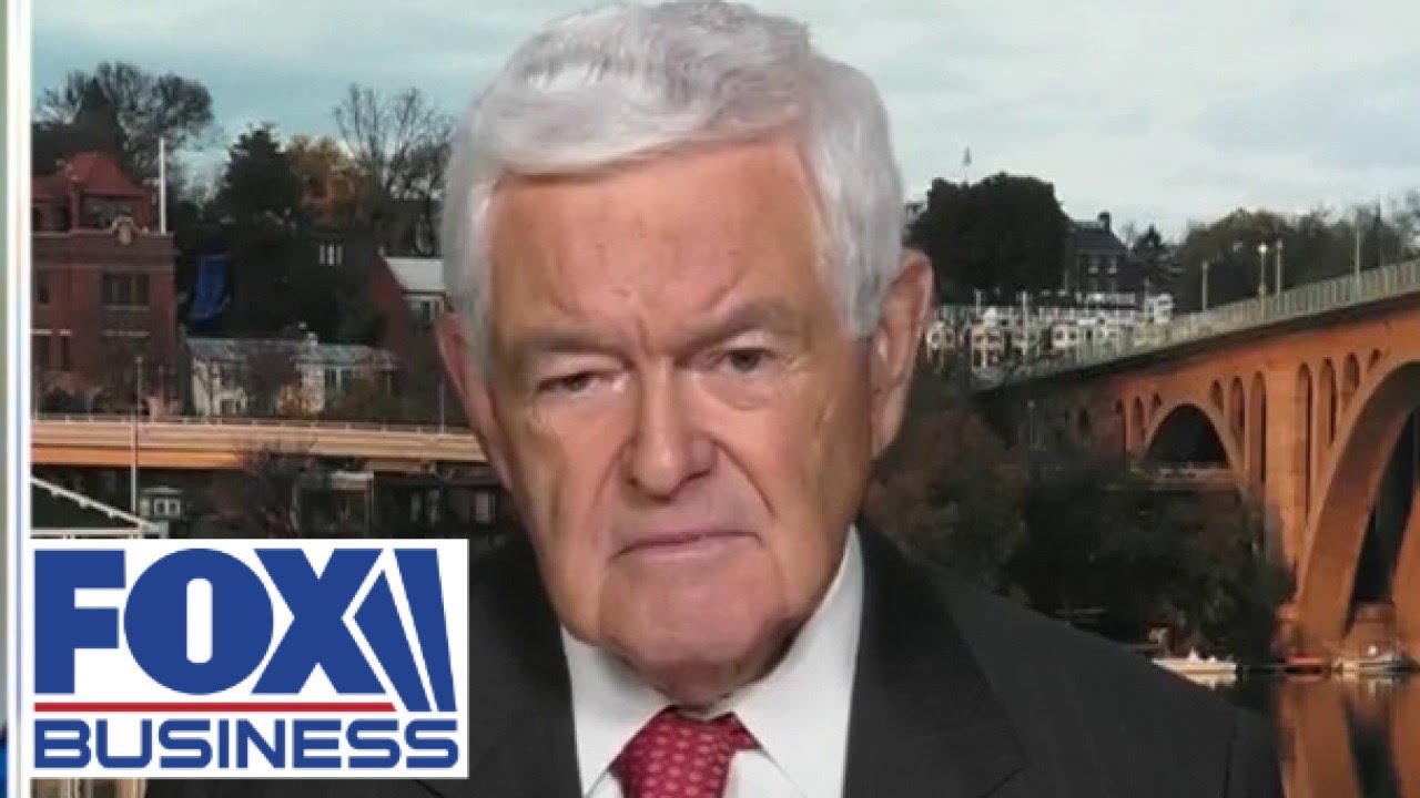 Newt Gingrich on this 'totally crazy comment' from Biden's press conference