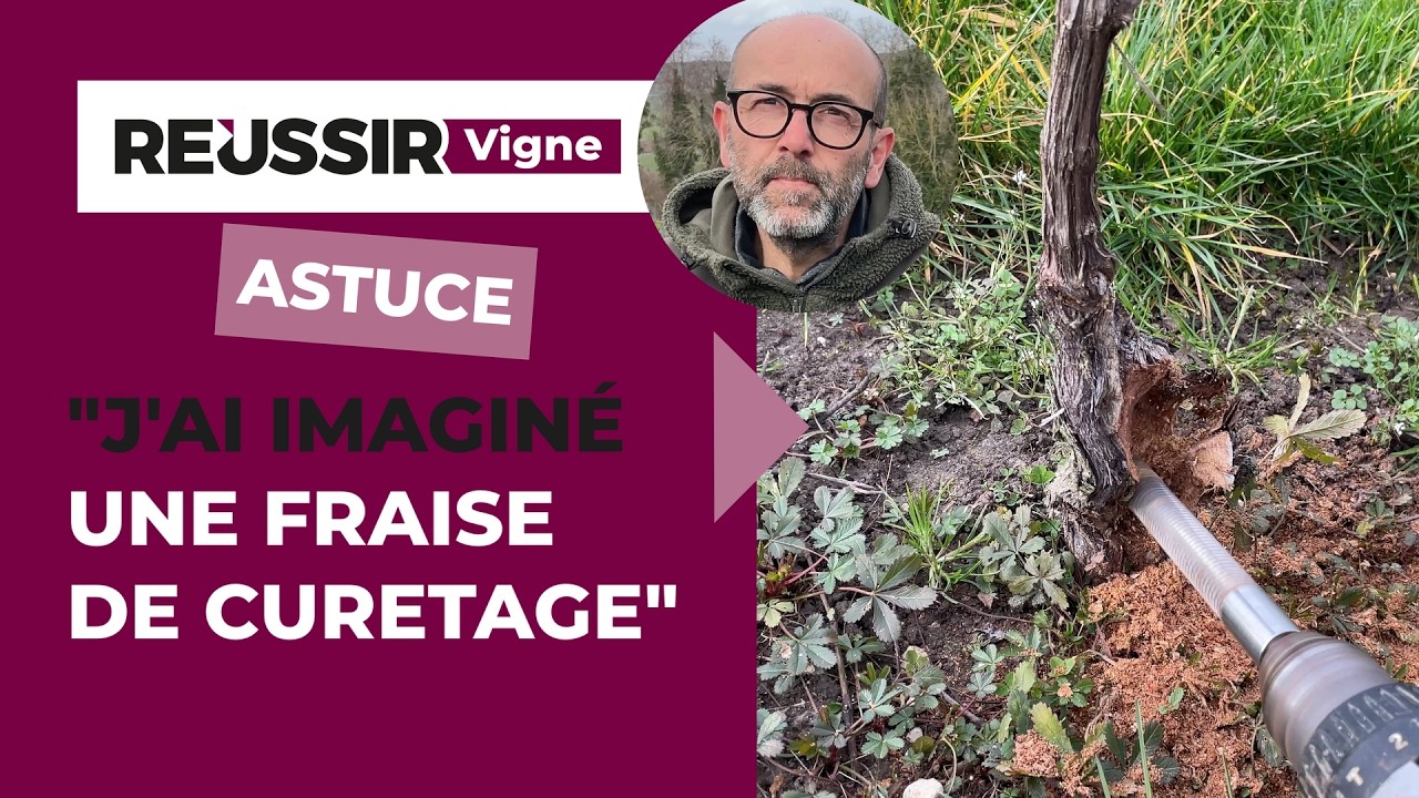 Innovation matériel viticole : « J’ai imaginé une fraise de curetage »