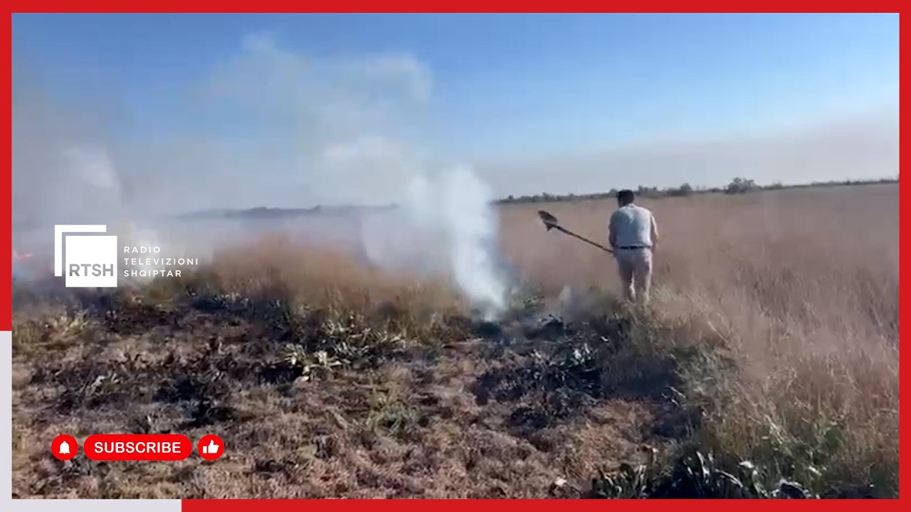 Fier/ Katër vatra zjarri mbeten aktive në pyllin e Semanit, zjarrfikësit po punojnë për shuarjen e flakëve