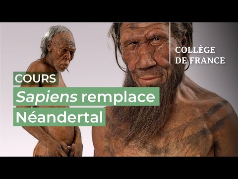 Sapiens remplace Néandertal (1) - Jean-Jacques Hublin (2025-2026)