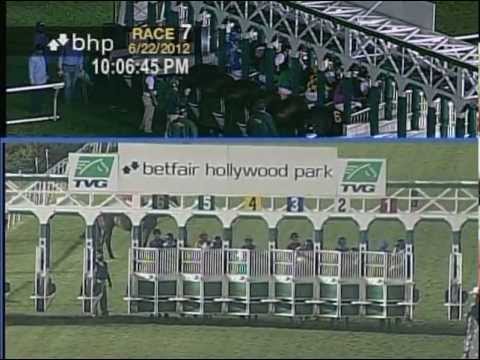 The 4th Running of the Tsunami Slew Stakes