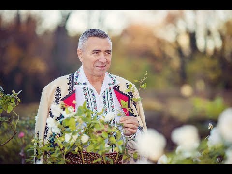 NELU BITINA Cea mai frumoasa muzica de petrecere Colaj nou 2019