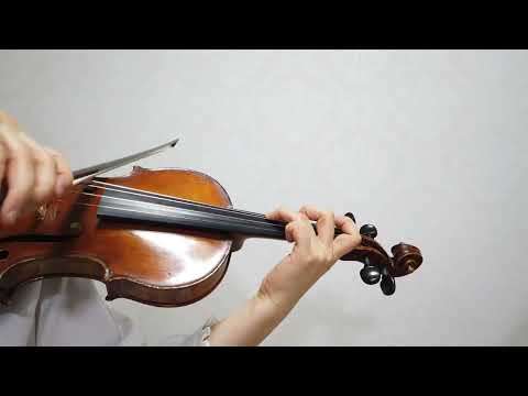 호만 바이올린 교본 제3권 (237번) / Hohmann Violin book 3 (No.252)