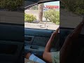 The Seagulls Fight Over The Little Caesars Pizza Is So Good