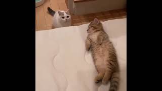 Download lagu Tepar Yacing Abis nguli mp3 Download lagu Tepar Yacing Abis nguli mp3