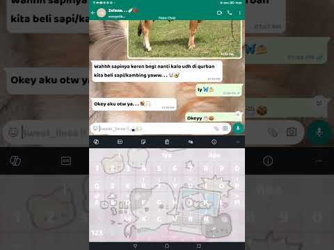 Whatsmock prank chat. . .