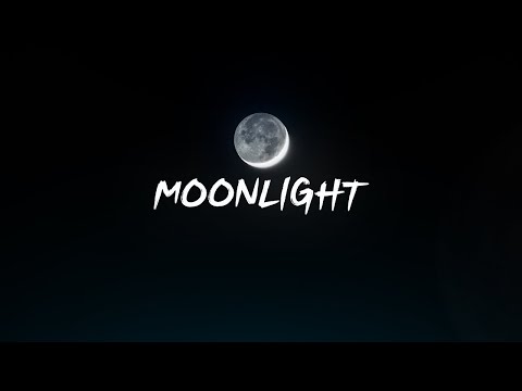 Kamerzysta x Dredziarz - Moonlight