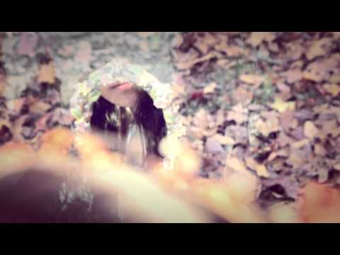 ASPIDISTRAFLY - LANDSCAPE WITH A FAIRY (Official Video)